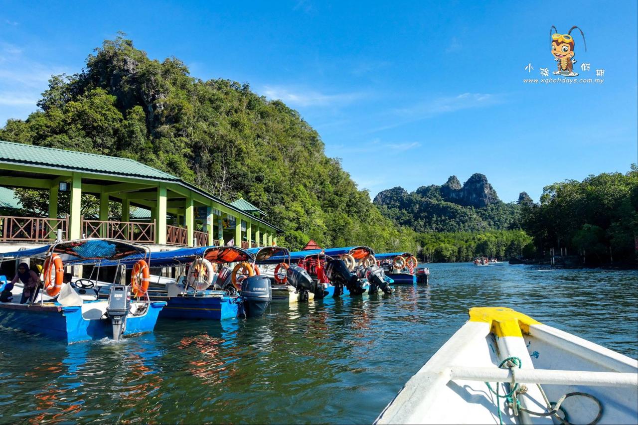 Mangrove Tour Langkawi: Jelajahi Hutan Bakau yang Menakjubkan